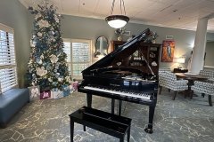 Piano-and-Lobby